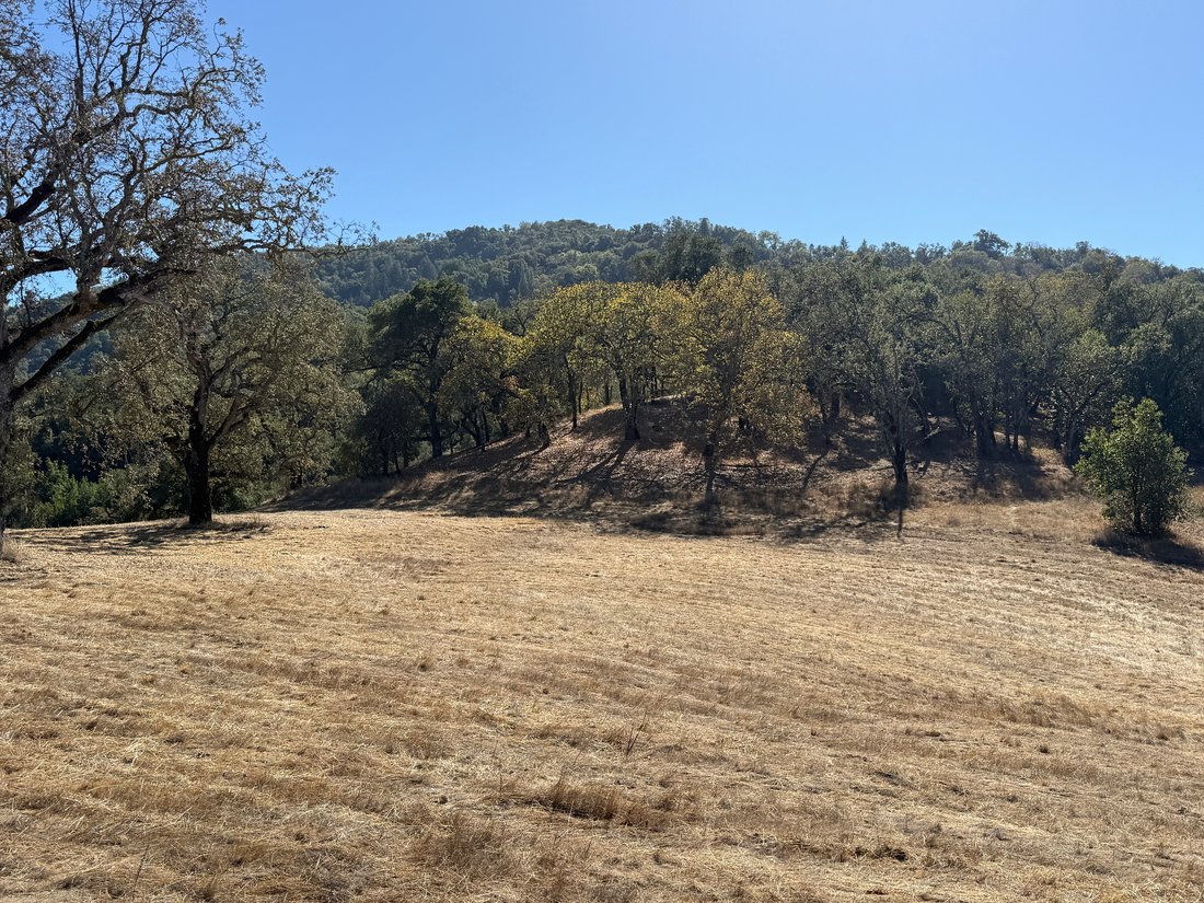 Land in Carmel-by-the-Sea, California, United States 4 - 19150773