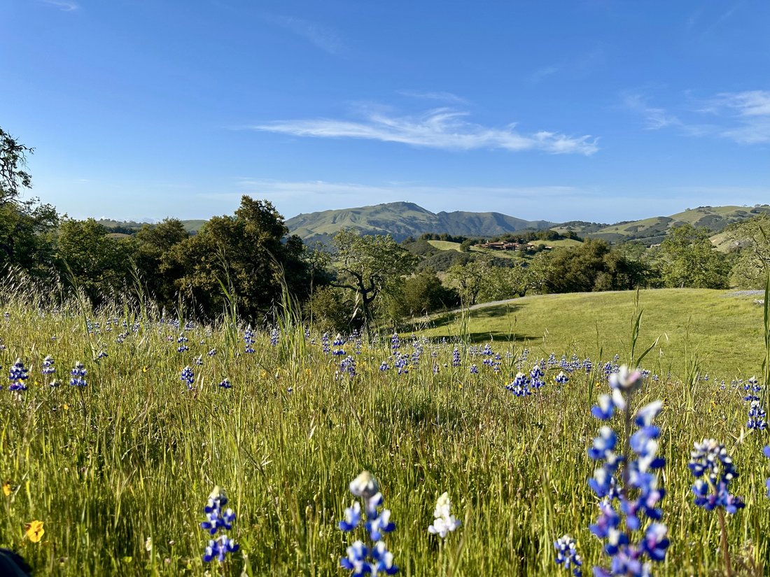 Land in Carmel-by-the-Sea, California, United States 2 - 19149826