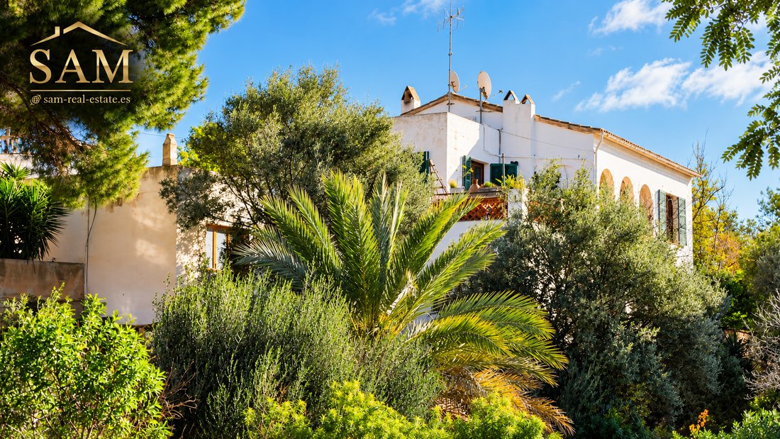Villa in Port d'Andratx, Andratx, Balearische Inseln 2 - 19151737