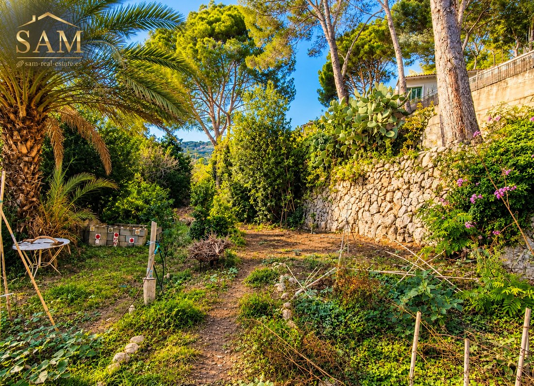 Villa in Port d'Andratx, Andratx, Balearische Inseln 5 - 19151737
