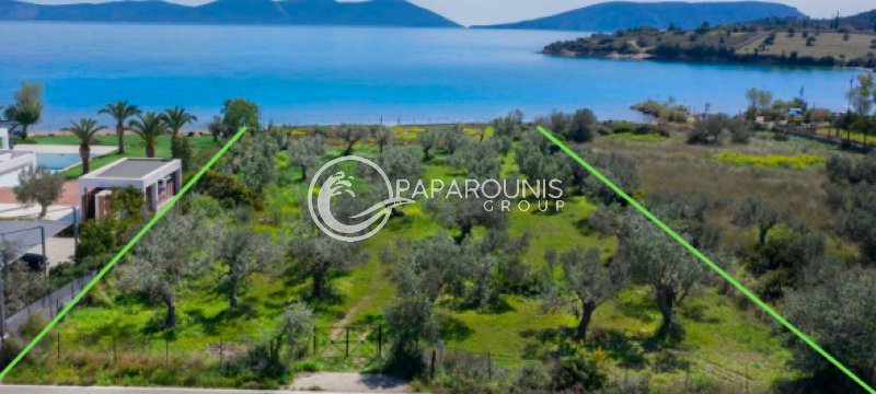 Land in Ermioni, Peloponnese, Western Greece and the Ionian, Griechenland 4 - 17900810