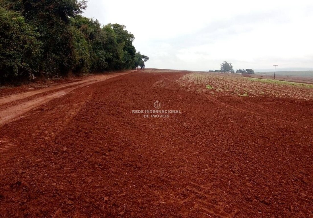 Farm Ranch in Itaí, Rio Grande do Sul, Brasilien 4 - 19151738