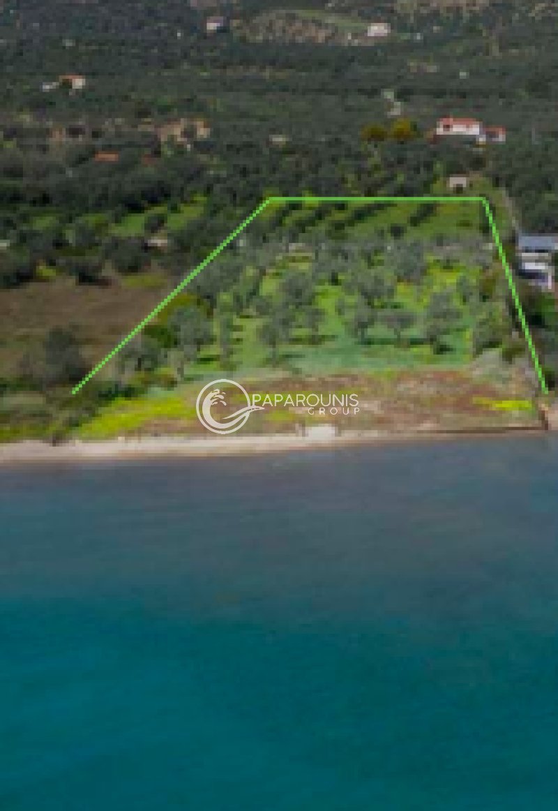 Land in Ermioni, Peloponnese, Western Greece and the Ionian, Griechenland 3 - 17900810