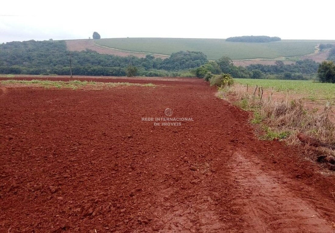 Farm Ranch in Itaí, Rio Grande do Sul, Brasilien 5 - 19151738