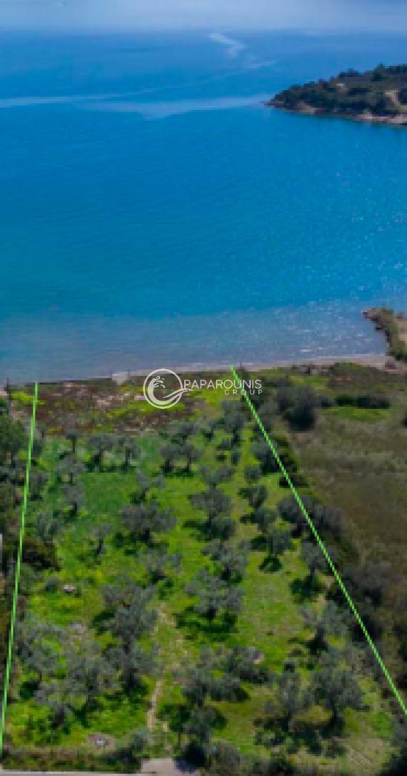 Land in Ermioni, Peloponnese, Western Greece and the Ionian, Griechenland 5 - 17900810