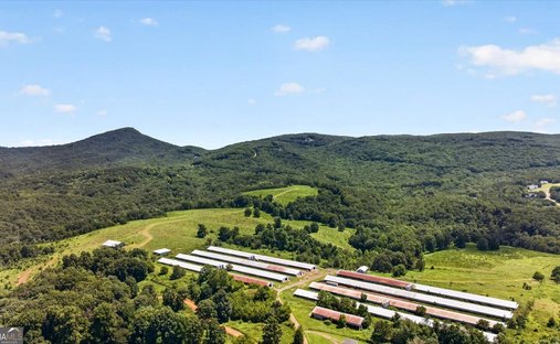 Farm Ranch in Jasper, Georgia, United States 1
