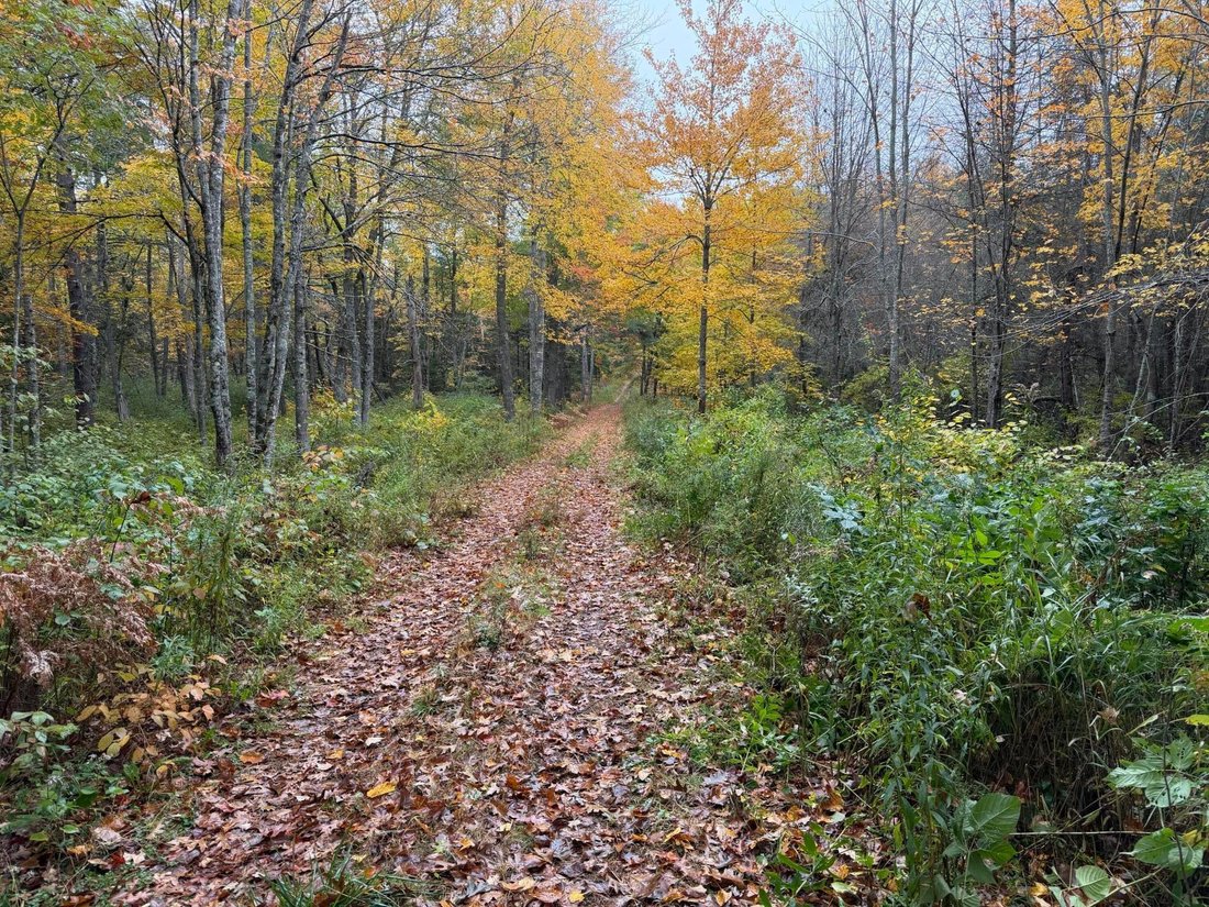 Land in Nobleboro, Maine, United States 5 - 16969819