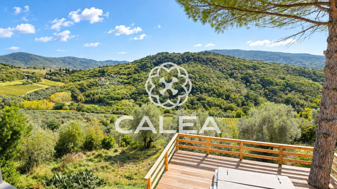 Villa in Saint Christina, Greve in Chianti, Tuscany 1 - 19152035