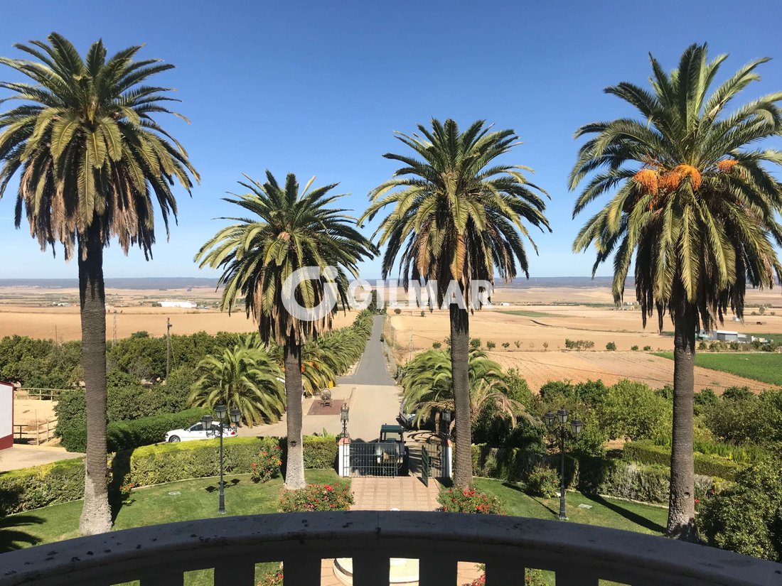 Villa in Villalba del Alcor, Andalusien, Spanien 3 - 14920526