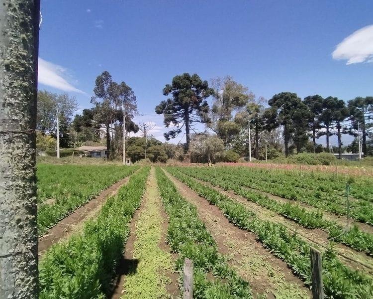Terreno en Quito, Pichincha, Ecuador 3 - 19152036