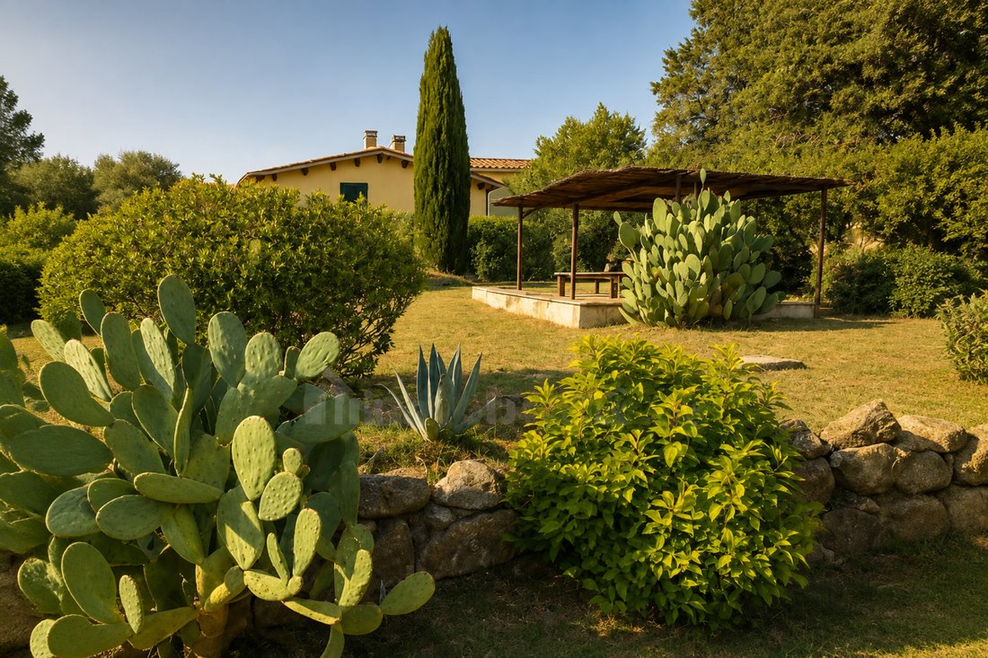 Villa à Manciano, Toscane, Italie 5 - 19153513