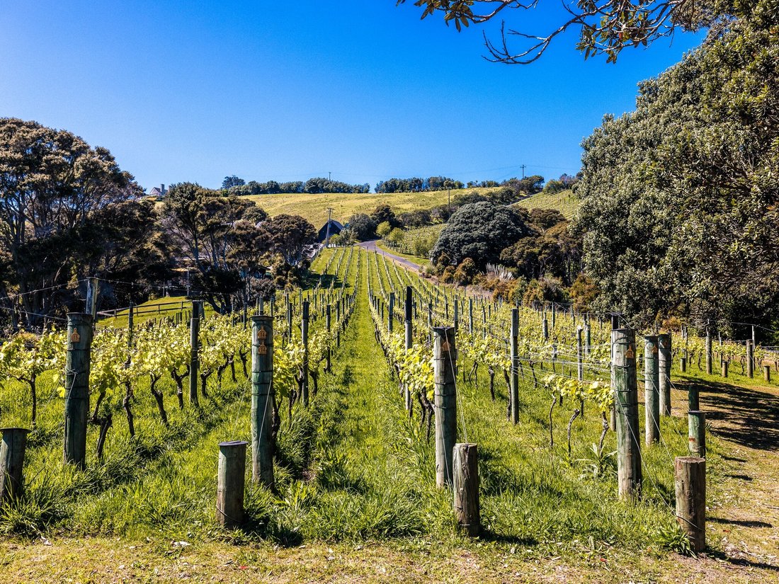 Haus in Waiheke Island, Auckland, Neuseeland 4 - 19157052