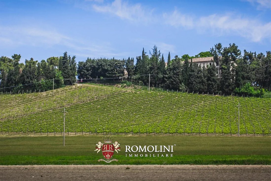 Farm Ranch in Conero, Ancona, Marken 5 - 19153612