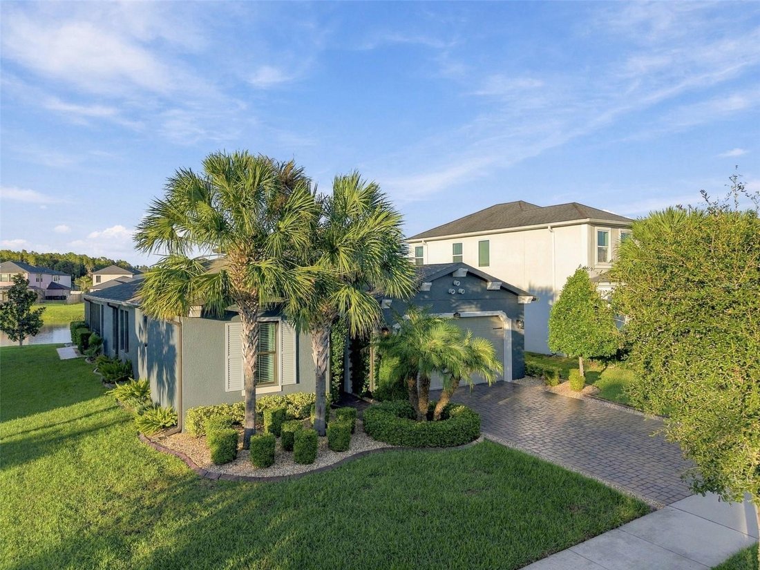 Casa en Wesley Chapel, Florida, Estados Unidos 2 - 19156593