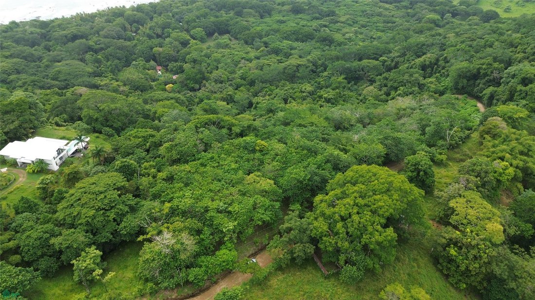 Terrain à Cedros, Puntarenas, Costa Rica 1 - 19155117
