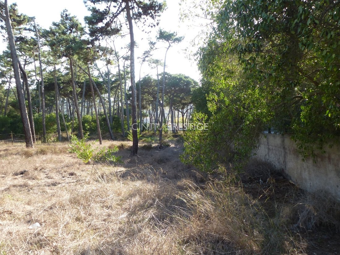 Terrain à Colares, Lisbonne, Portugal 2 - 19153463