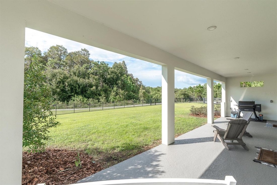 House in Odessa, Florida, United States 3 - 19155313