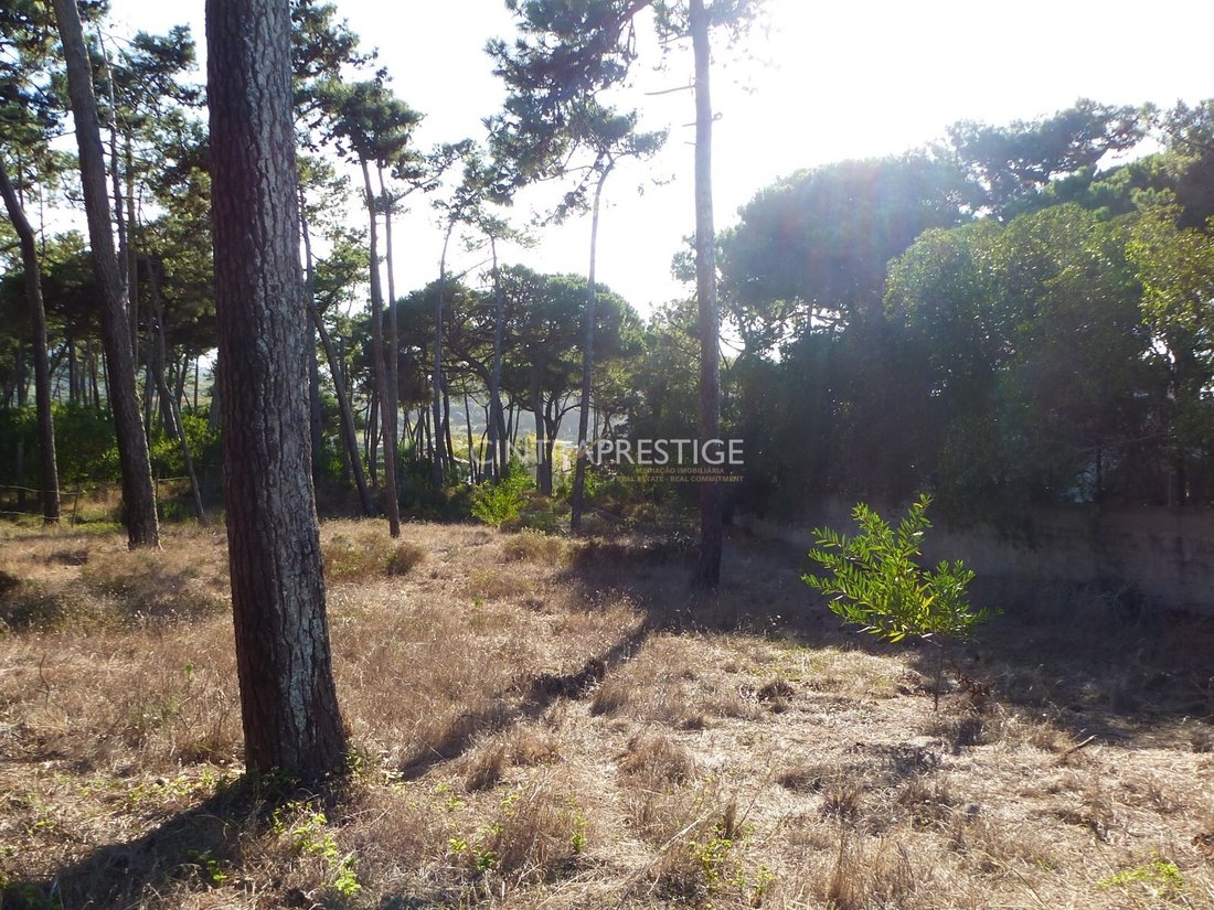 Terrain à Colares, Lisbonne, Portugal 1 - 19153463