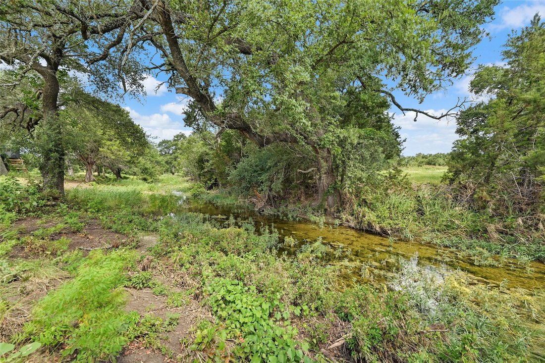 Land in Georgetown, Texas, United States 4 - 19156582