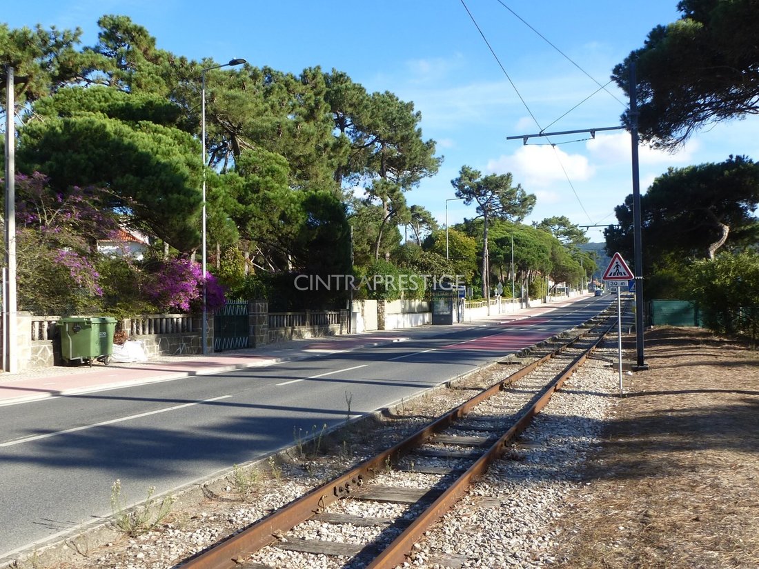 Terrain à Colares, Lisbonne, Portugal 3 - 19153463