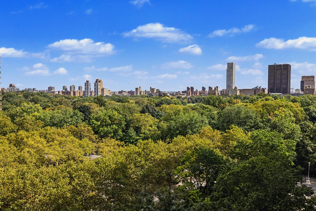Condo in New York, New York, United States 1 - 19156113