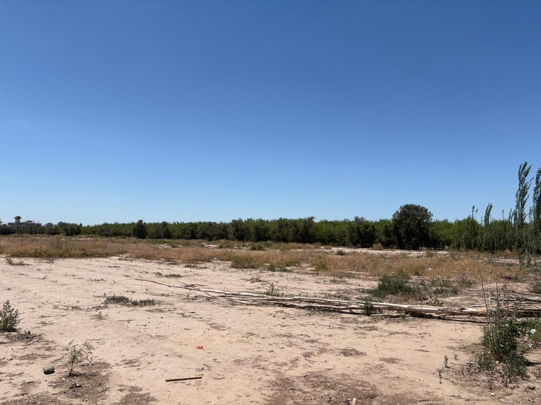 Land in Maipú, Mendoza Province, Argentina 4 - 19153825