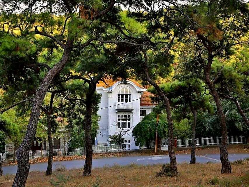 Estate in İstanbul, İstanbul, Turkey 3 - 19152931