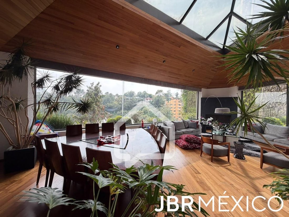 House in Mexico City, Mexico 4 - 19153826