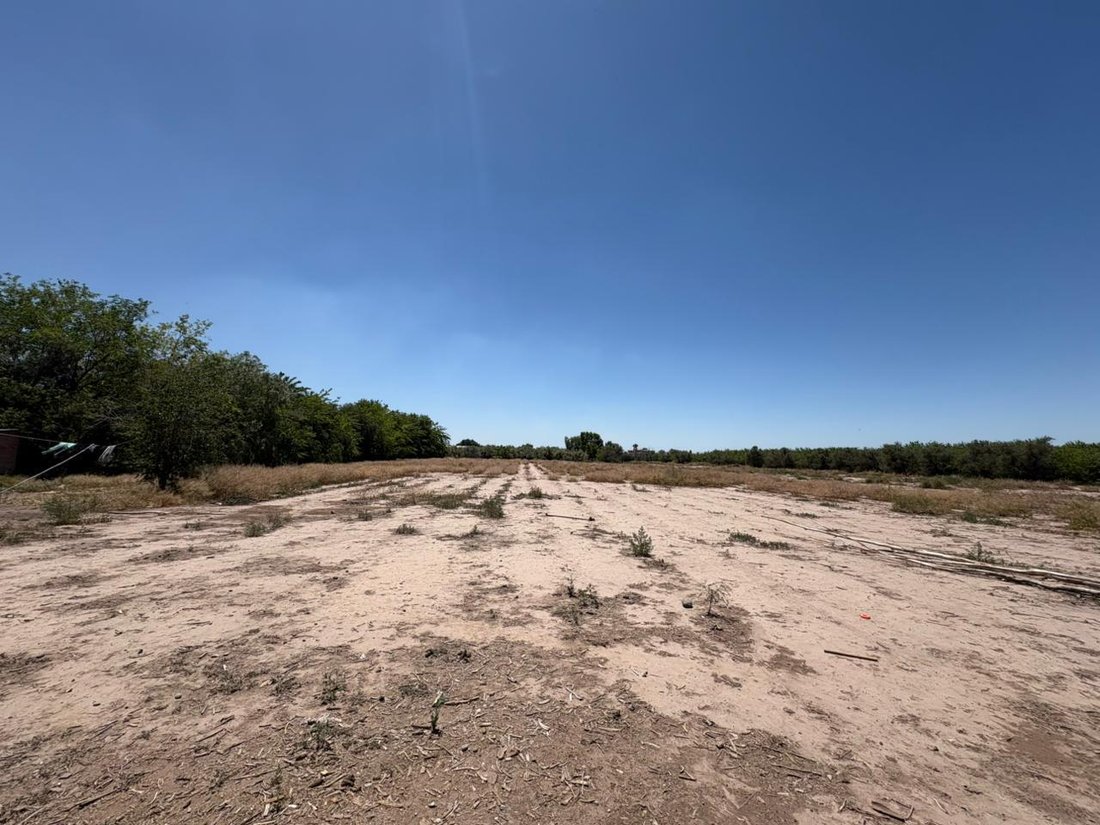 Land in Maipú, Mendoza Province, Argentina 2 - 19153825