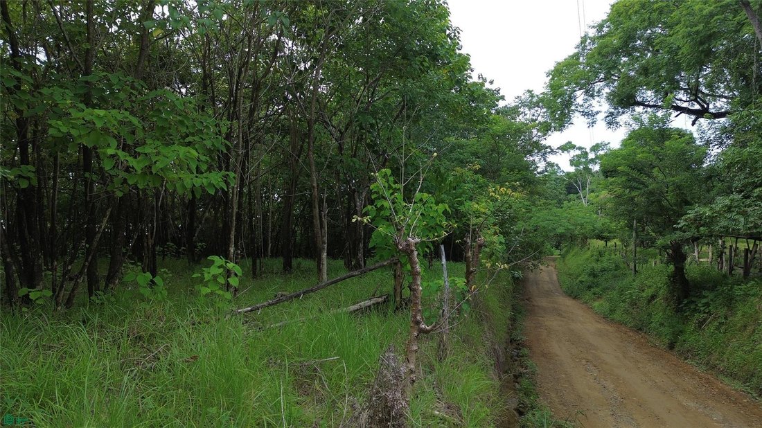 Terrain à Cedros, Puntarenas, Costa Rica 5 - 19155117