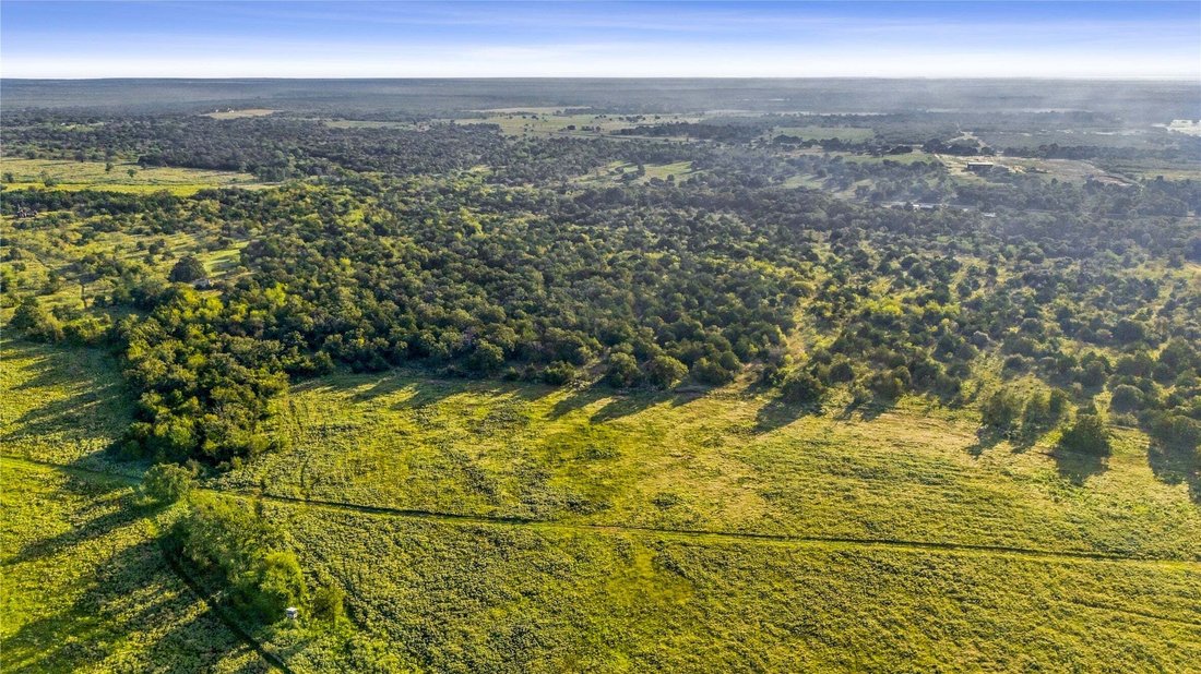 Terrain à Beasley, Texas, États-Unis 5 - 19154296