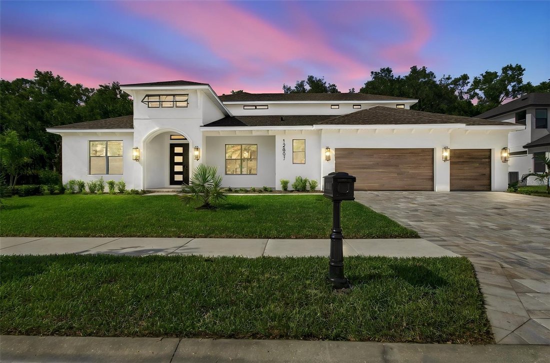 House in Odessa, Florida, United States 1 - 19152646