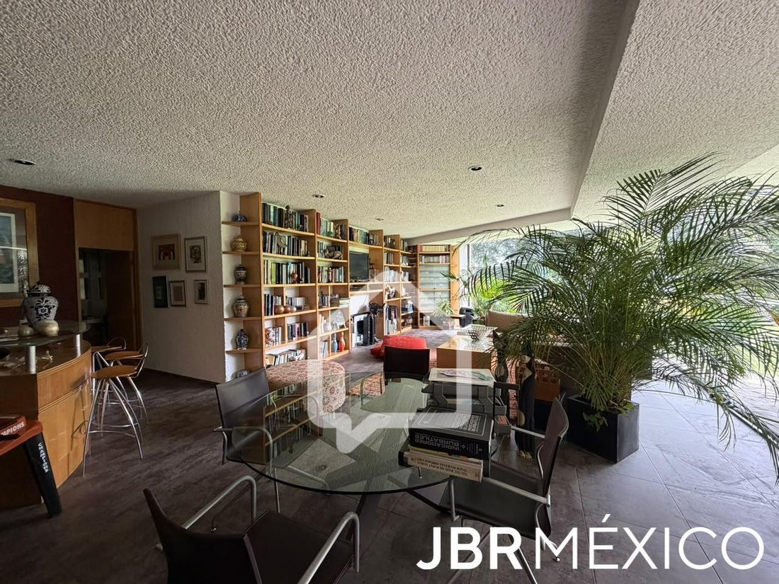House in Mexico City, Mexico 3 - 19153826