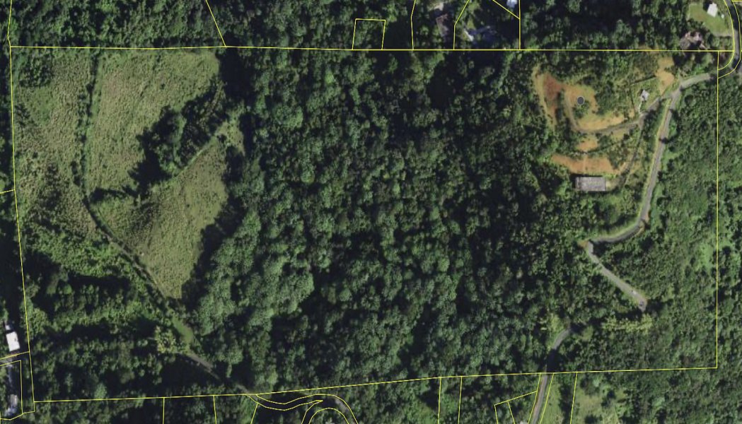 Land in Palma Sola, Canóvanas, Puerto Rico 1 - 19153764
