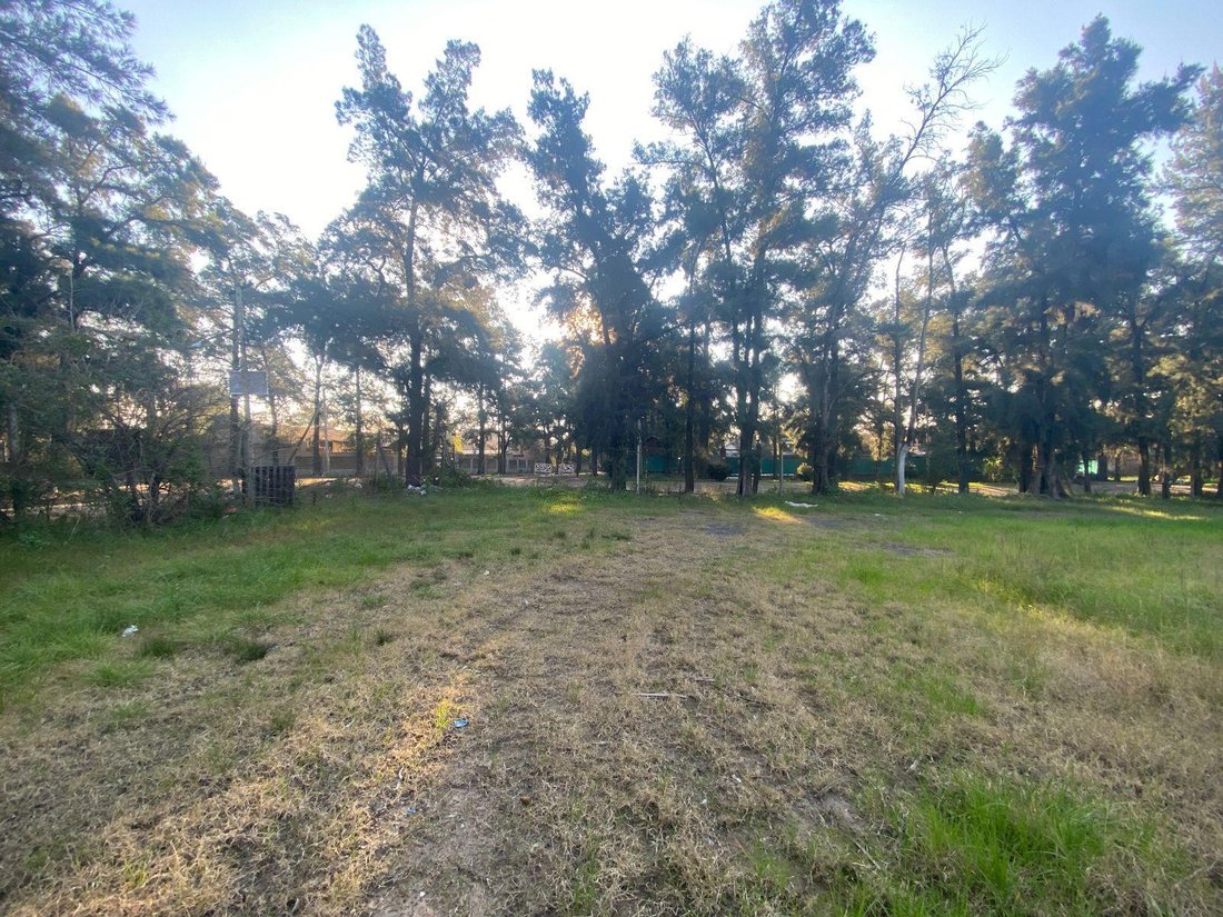 Land in 9 de Abril, Buenos Aires Province, Argentina 5 - 18843237