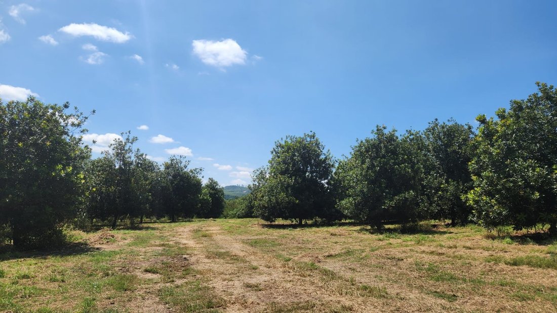 Farm Ranch in Mbombela, Mpumalanga, South Africa 3 - 19153758