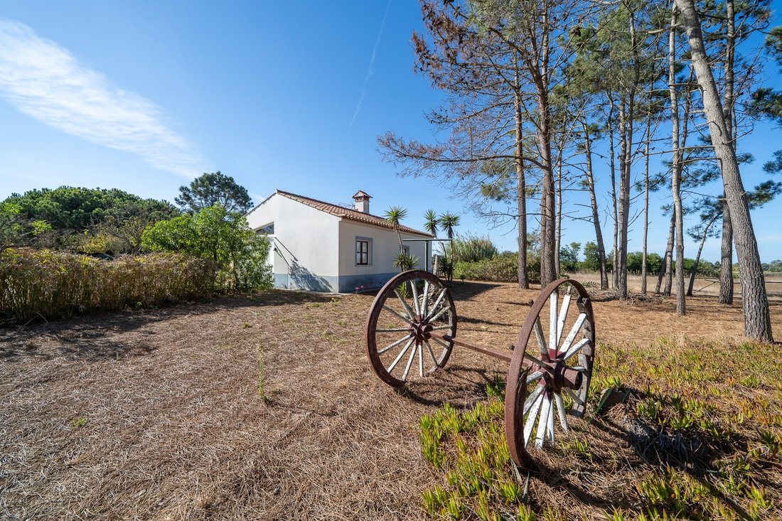Andere in Aljezur, Algarve, Portugal 1 - 19153281