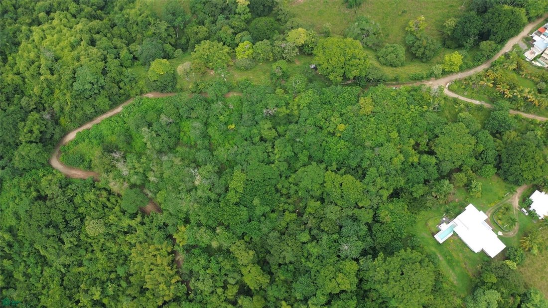 Terrain à Cedros, Puntarenas, Costa Rica 2 - 19155117