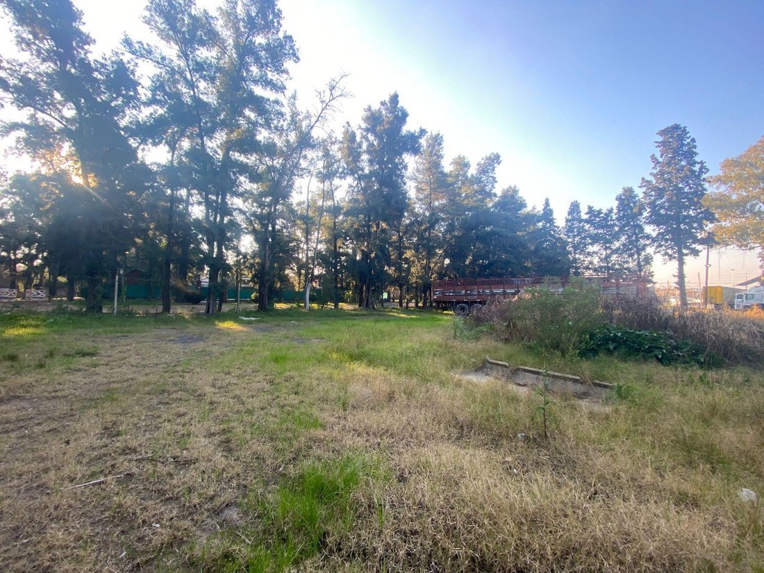 Land in 9 de Abril, Buenos Aires Province, Argentina 3 - 18843237