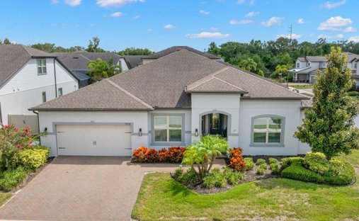 House in Palm Harbor, Florida, United States 1