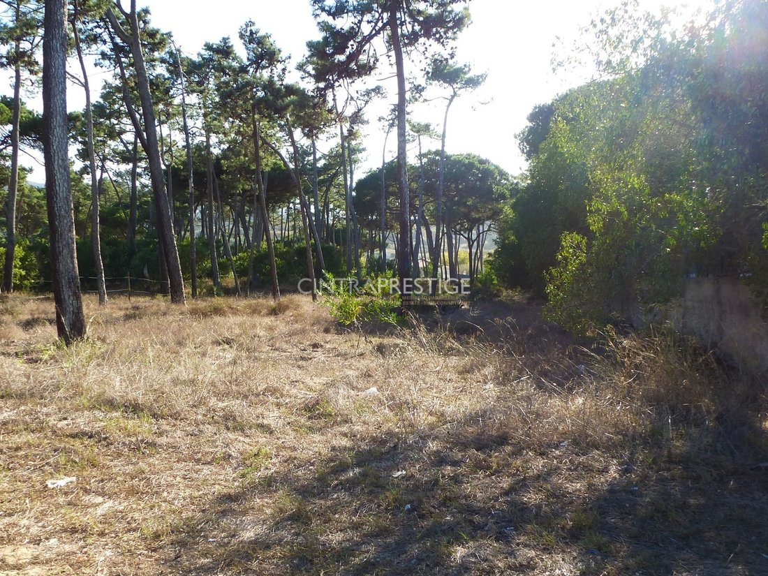 Terrain à Colares, Lisbonne, Portugal 5 - 19153463