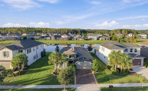 Casa a Wesley Chapel, Florida, Stati Uniti 1