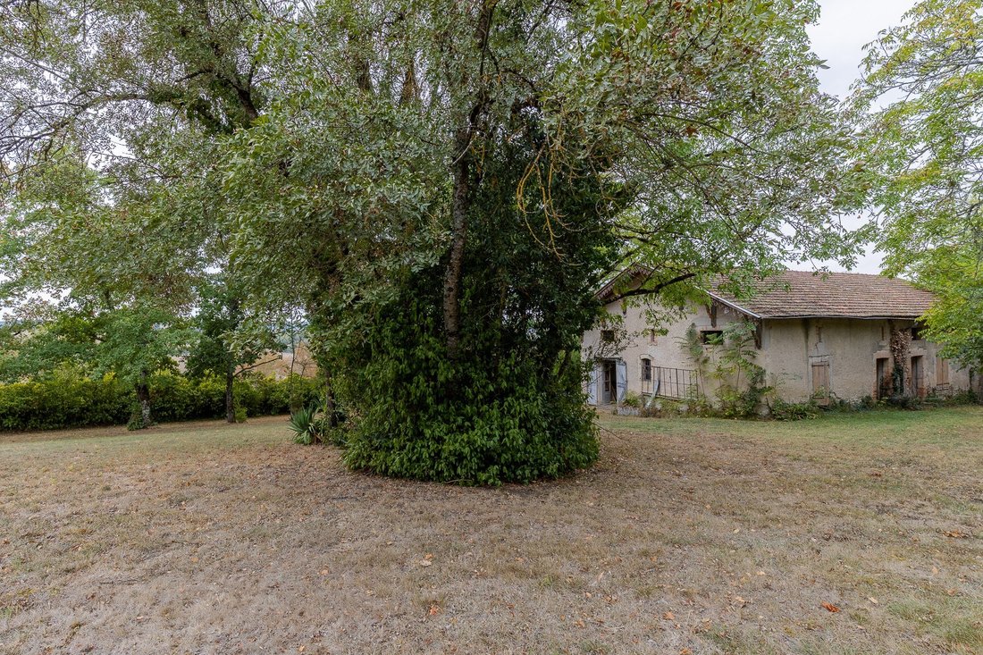 Haus in Centre Ville, Lavaur, Frankreich 4 - 19155953
