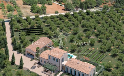 Land in Bunyola, Balearic Islands, Spain 1