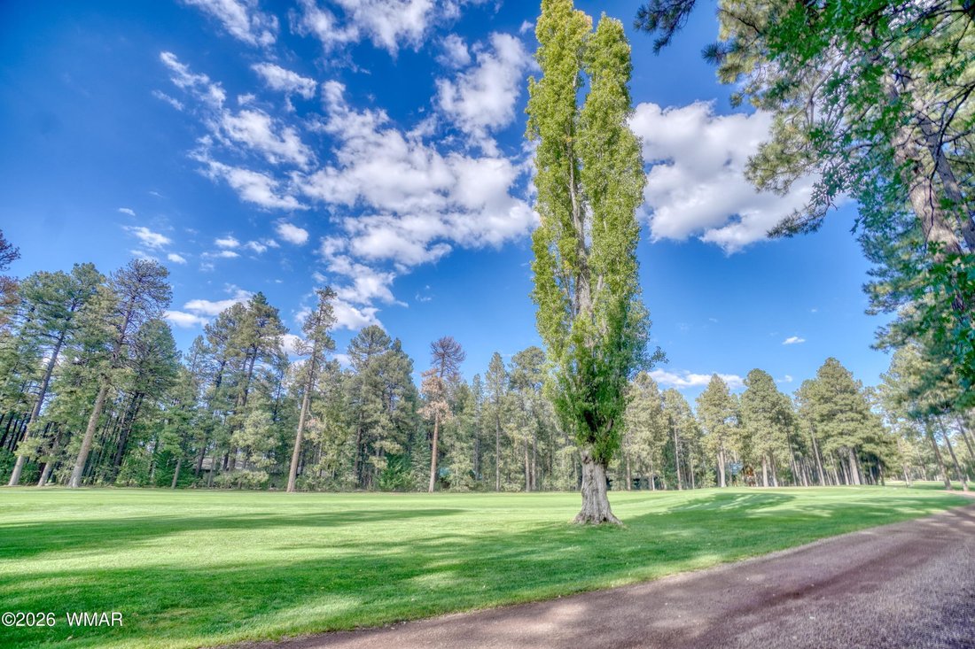 Altro a Pinetop, Arizona, Stati Uniti 5 - 19154424