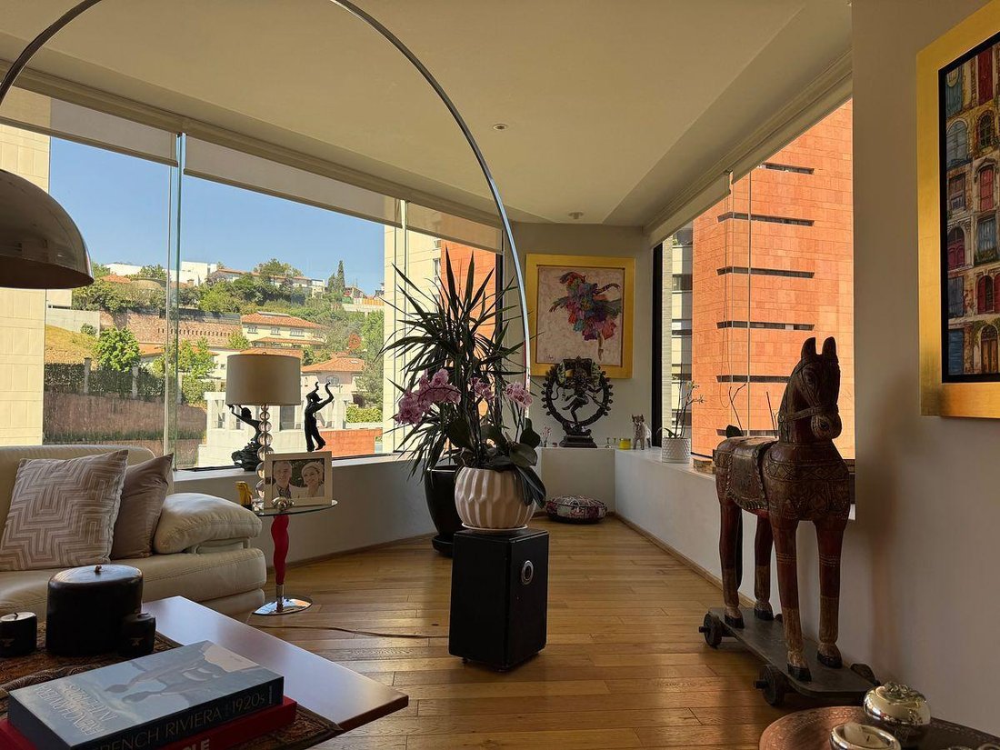 Apartment in Mexico City, Mexico 4 - 19146523