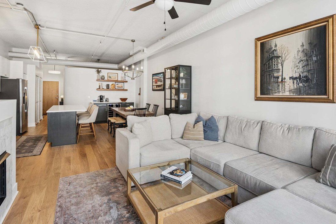 Appartement à Chicago, Illinois, États-Unis 5 - 19155616