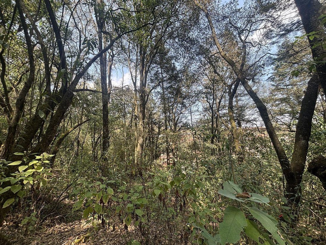 Land in Santa Ana Jilotzingo, Bundesstaat Mexiko, Mexiko 5 - 19153735
