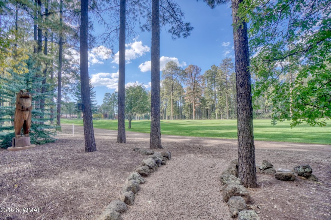 Altro a Pinetop, Arizona, Stati Uniti 3 - 19154424