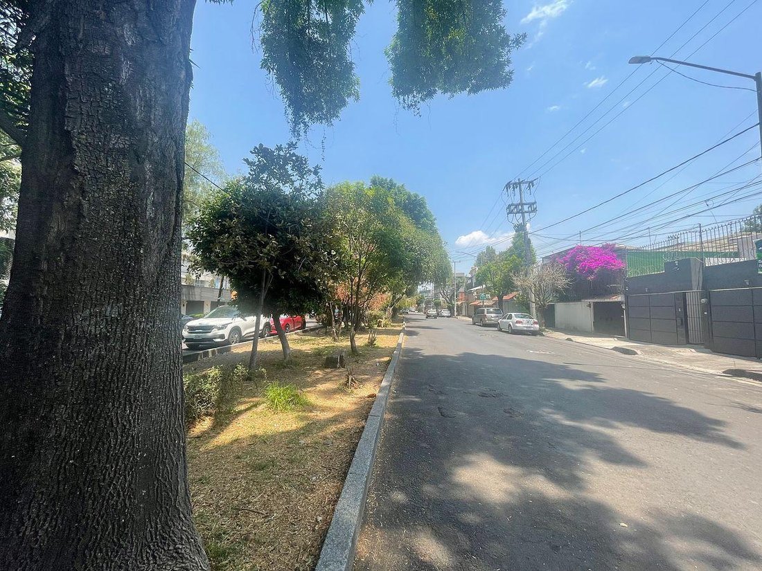 Land in Santa Catarina Yecahuitzotl, Mexiko-Stadt, Mexiko 5 - 19153738